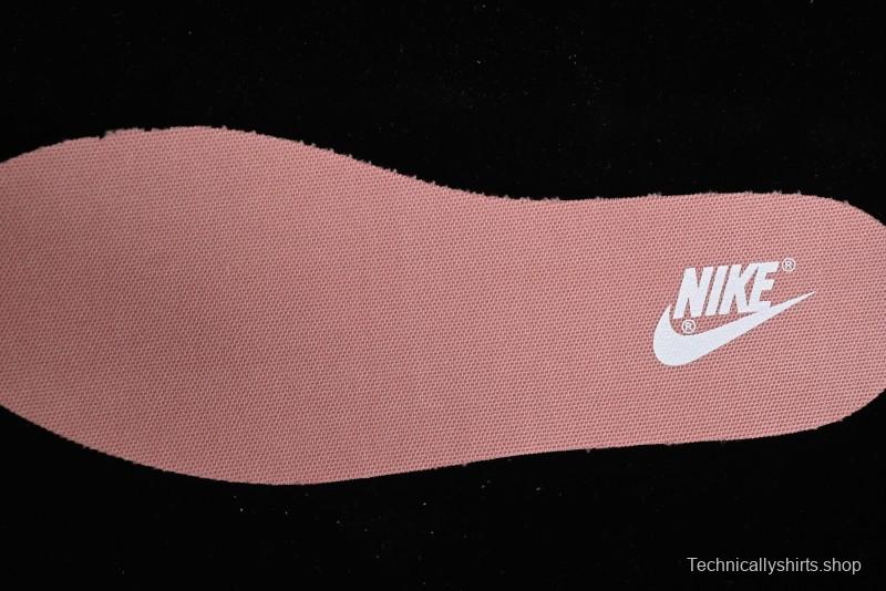 Nike Dunk Low Retro SB Casual Skate Shoes in Light Grey Blue with Silver Swoosh and Deconstructed Straps - HF0730-160