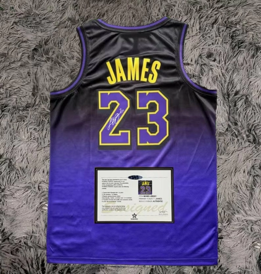 Lebron James Lakers City Purple Signed