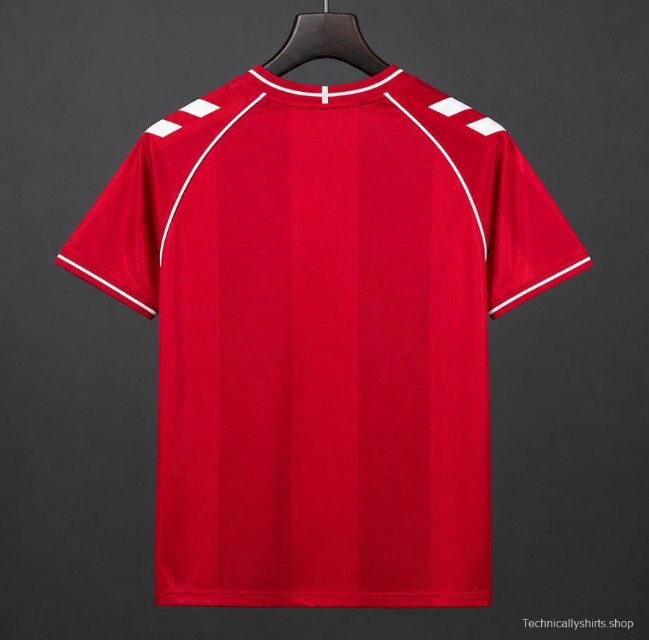 2026 Denmark Home Jersey
